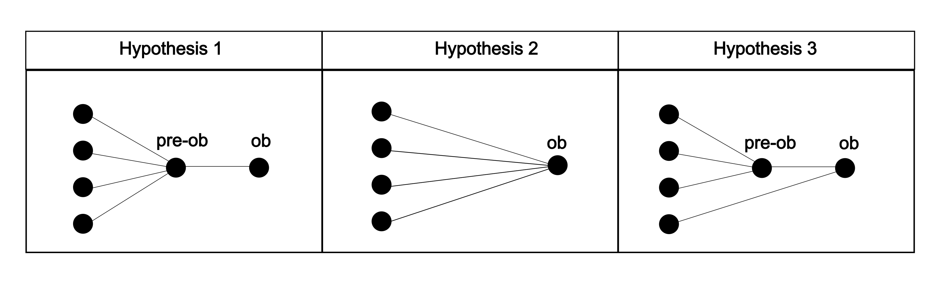 lineage_hypothesis.png
