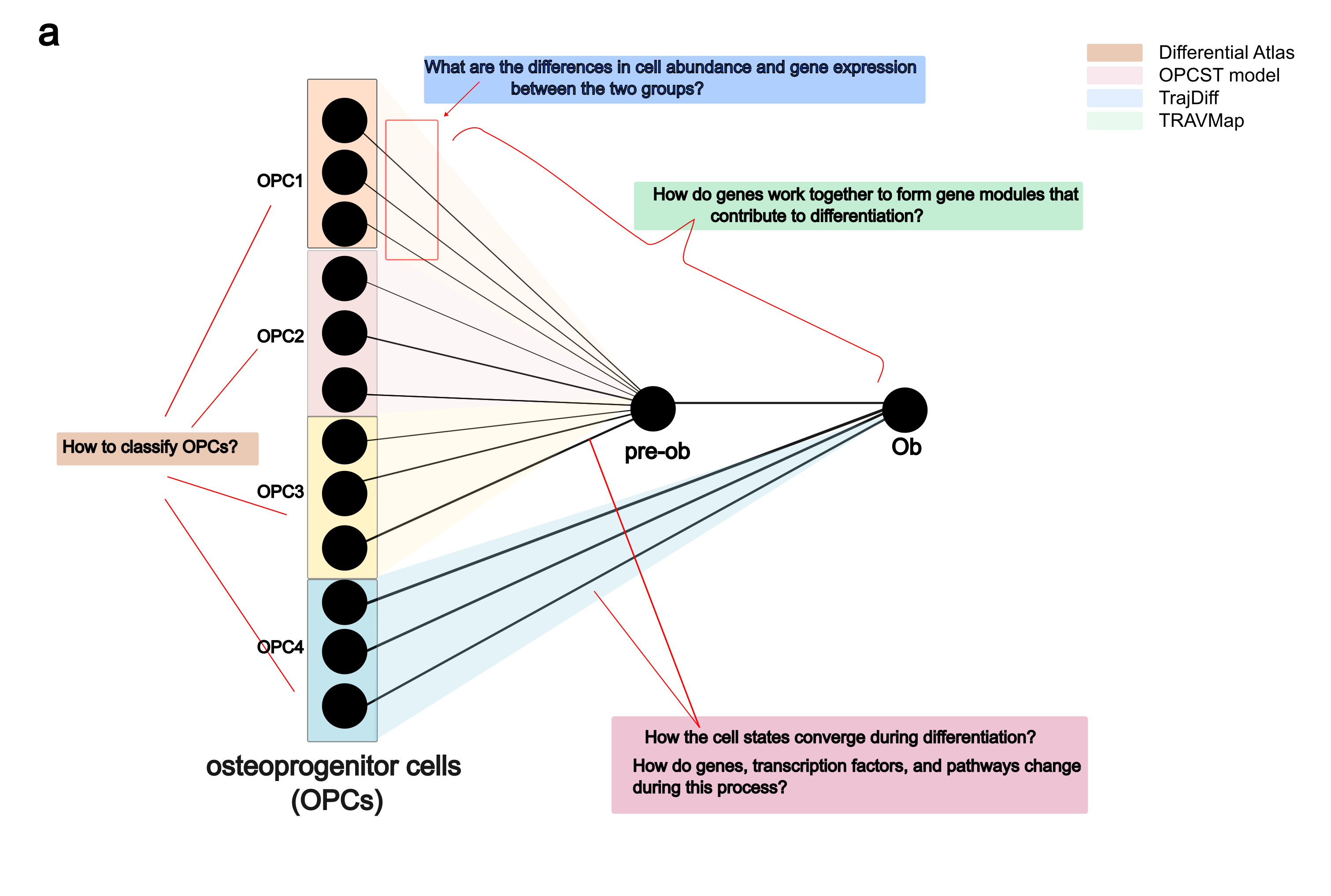 Overview_question