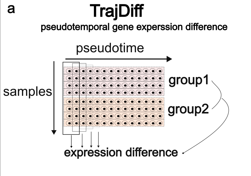 trajdiff